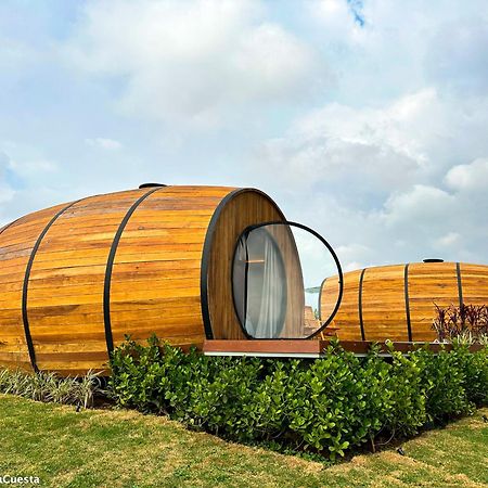 Villa Dejota Pardinho ภายนอก รูปภาพ